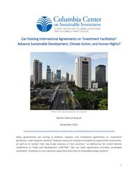 thumnail for ccsi-investment-facilitation-development-wto-martin-dietrich-brauch.pdf