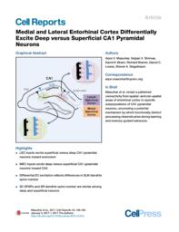 thumnail for Medial and Lateral Entorhinal Cortex Differentially Excite Deep versus Superficial CA1 Pyramidal Neurons.pdf