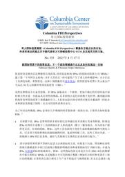 thumnail for No 355 - Opertti and Volpe Martincus - FINAL - CHINESE versioin.pdf