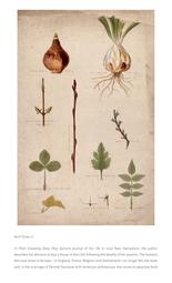thumnail for https:_medicalhealthhumanities_com_2022_05_30_life_death_and_grief_in_the_garden_some_literary_roots_2023_11_7_6_38_58_AM.pdf