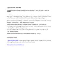 thumnail for Rahlff_2018_Scientific_Reports_Supplementary_material.pdf
