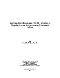 thumnail for Garcia_columbia_0054D_14085.pdf