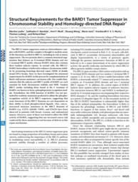 thumnail for Laufer M et al., J Biol Chem 2007.pdf