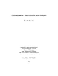 thumnail for Benavidez_columbia_0054D_16698.pdf