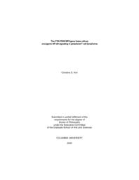thumnail for Kim_columbia_0054D_15665.pdf