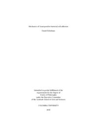 thumnail for Echelman_columbia_0054D_14401.pdf