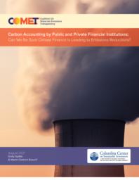 thumnail for ccsi-comet-carbon-accounting-climate-finance.pdf