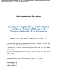 thumnail for d1ew00554e1.pdf