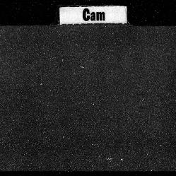 Carnegie Index Cards, Activ...