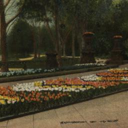 Flower Beds, Prospect Park,...