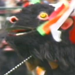 Scenes of official ceremoni...
