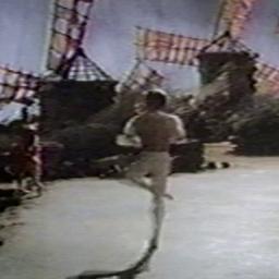 Don Quixote (Nureyev)