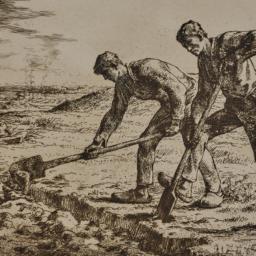 The Diggers