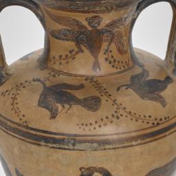 Black-Figure Amphora