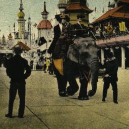 Elephant Ride in Luna Park,...