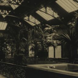 Interior: Reptile House, Ne...