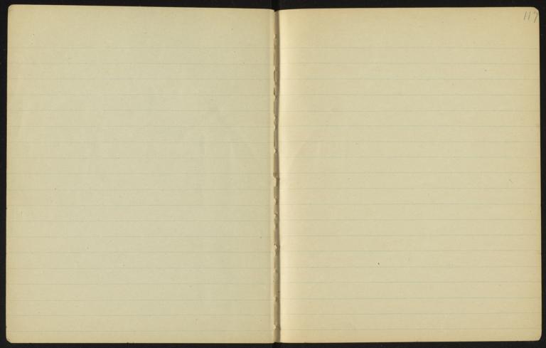 Pages 116-117