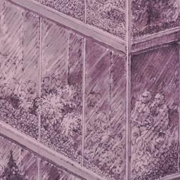 Mur de verre, terrarium. Pe...