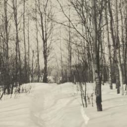Winter on Vermilion Lake, M...