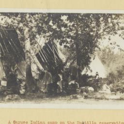 Cayuse Camp on the Umatilla...