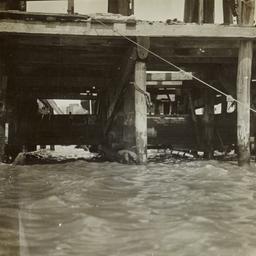 Sewers, Sewage and Toilets