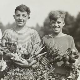 Boys with Vegetables