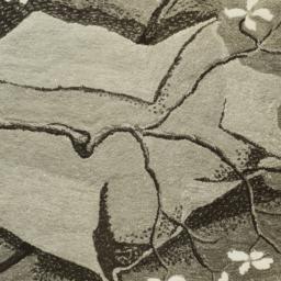 Dogwood Rug