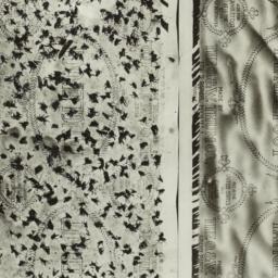 Flypaper
