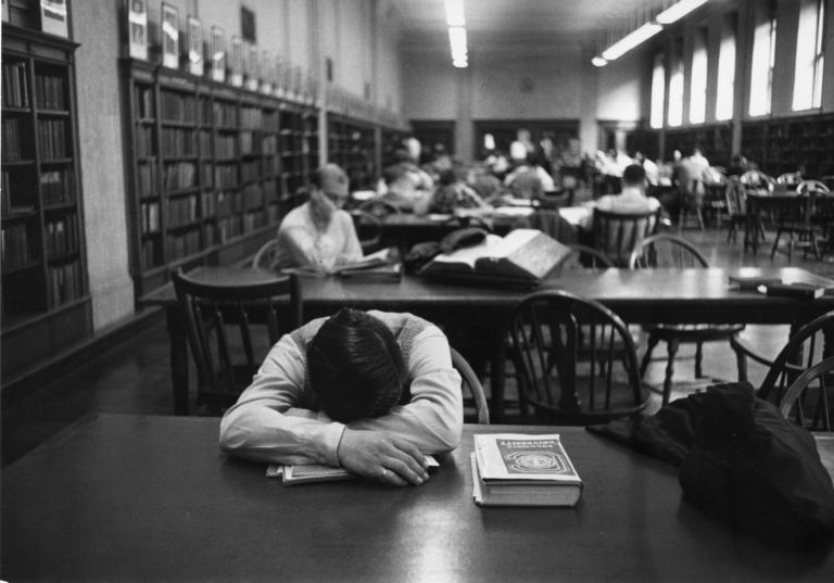 Sleeping in the Library - DLC Catalog