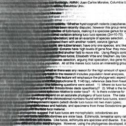 Minutes, 1998-12-08. Popula...