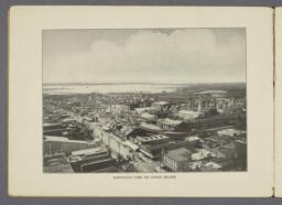 Bird's-eye view of Coney Island